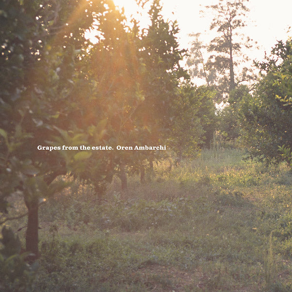 AMBARCHI, OREN - Grapes From The Estate