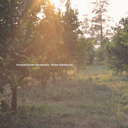 AMBARCHI, OREN - Grapes From The Estate