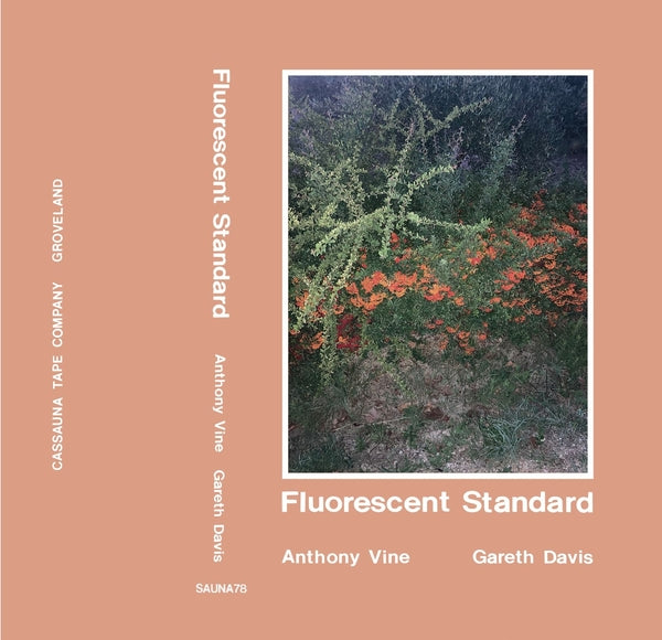 VINE AND GARETH DAVIS, ANTHONY - Fluorescent Standard