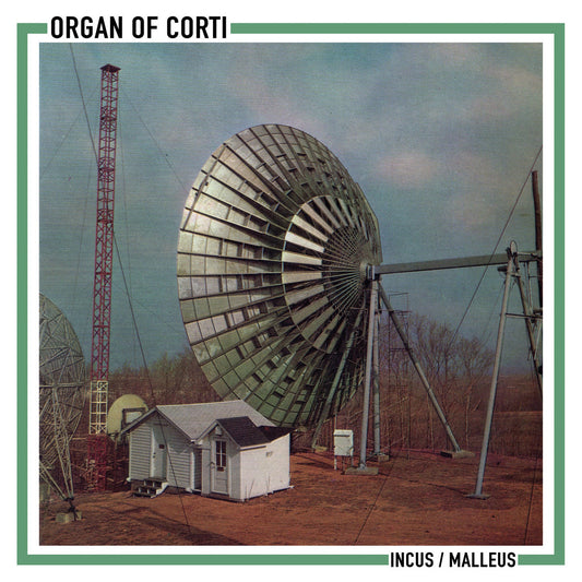 ORGAN OF CORTI - Incus/Malleus