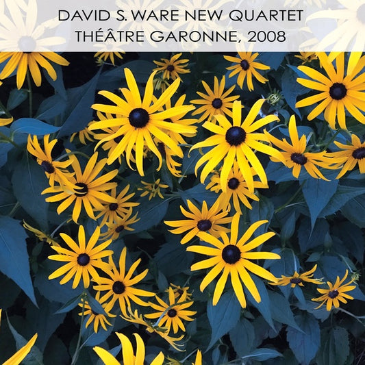 WARE, DAVID S. NEW QUARTET - Theatre Garonne, 2008