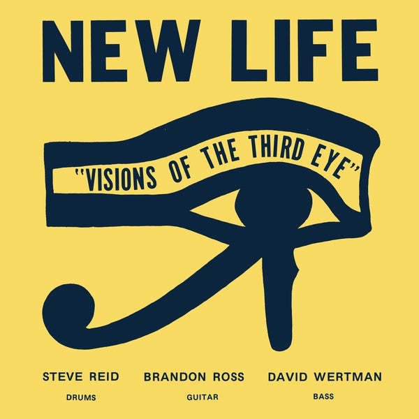 NEW LIFE TRIO - Visions Of The Third Eye