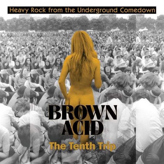 V/A - Brown Acid - The Tenth Trip