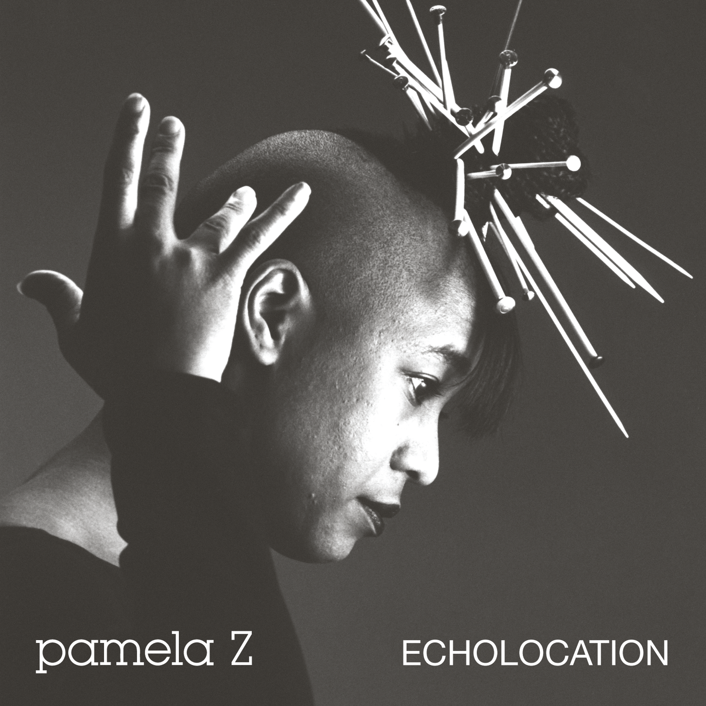 PAMELA Z - Echolocation