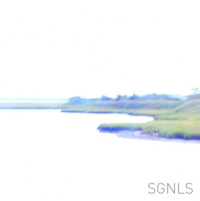 SGNLS - S/T