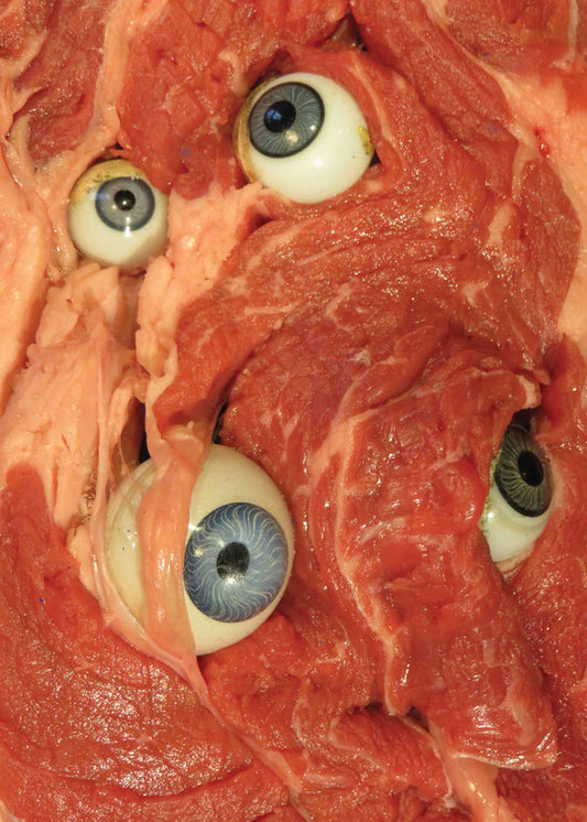 ORTMANN, ANDY - Eye of the Beholder