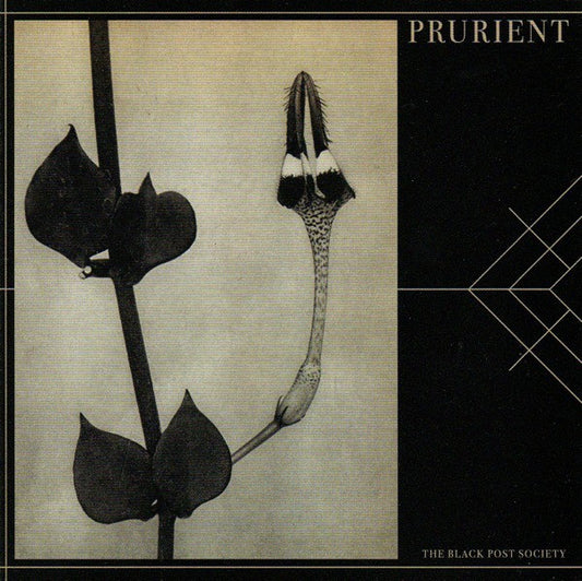 fusetron PRURIENT, Black Post Society