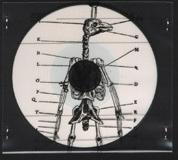 fustron ASHTRAY NAVIGATIONS, Electric Cointelpro