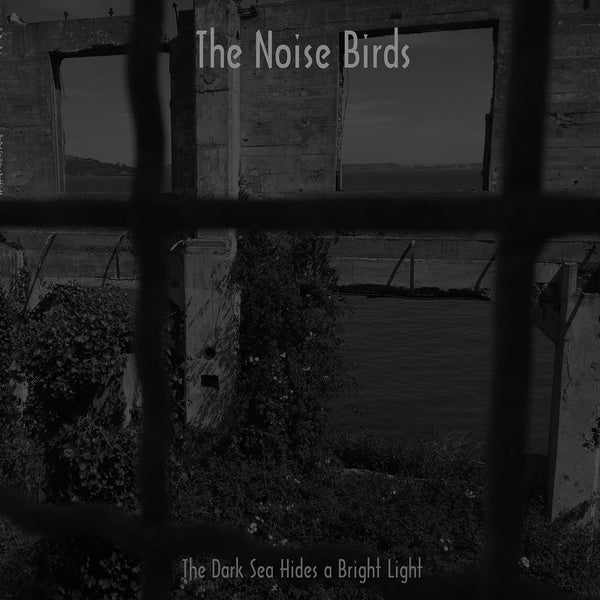 NOISE BIRDS, THE - The Dark Sea Hides a Bright Light