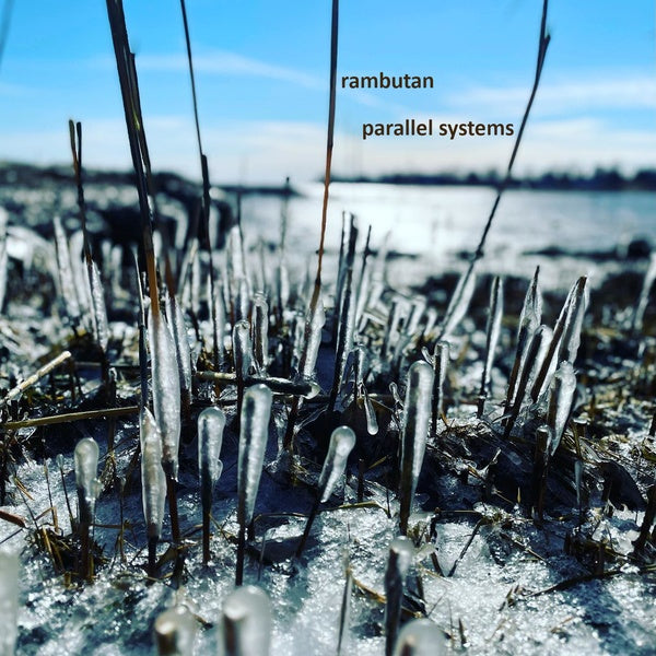 RAMBUTAN - Parallel Systems