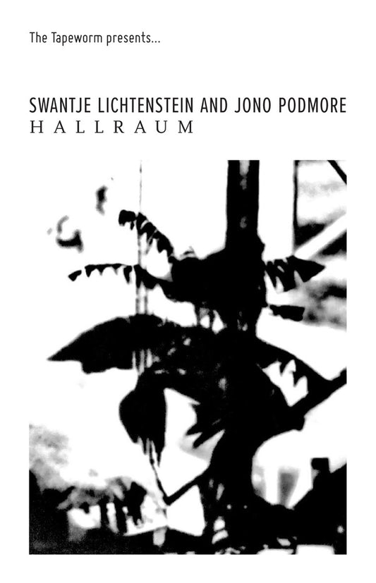 LICHTENSTEIN AND JONO PODMORE, SWANTJE - Hallraum