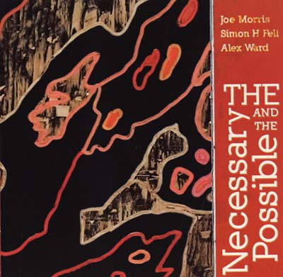 MORRIS, JOE/SIMON H FELL/ALEX WARD - The Necessary And The Possible